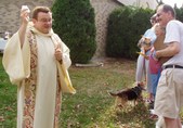 Enlarge photo 6