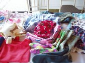 Enlarge photo 11