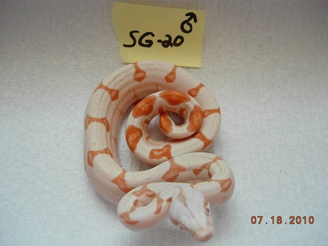 DSCN5824.JPG