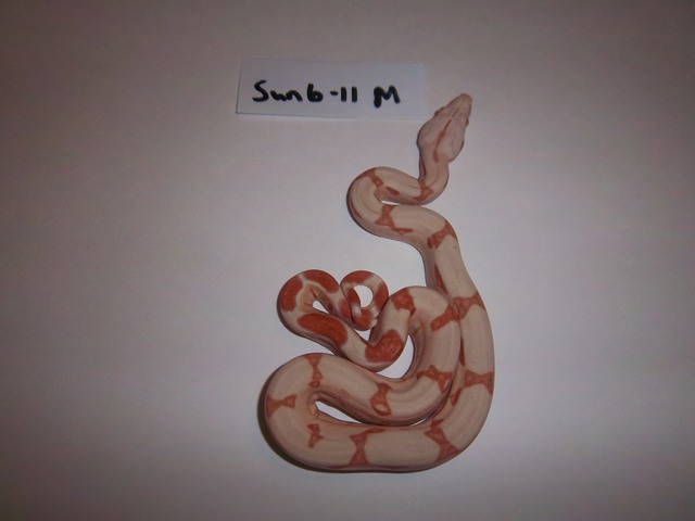 100_0715.jpg