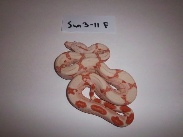100_0716.jpg