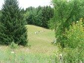 Enlarge photo 10