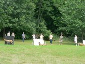 Enlarge photo 26