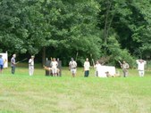 Enlarge photo 27