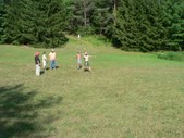 Enlarge photo 35