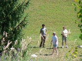Enlarge photo 59