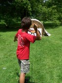 Enlarge photo 48