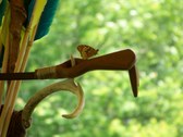 Enlarge photo 24