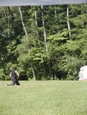 Enlarge photo 109