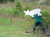 Enlarge photo 11