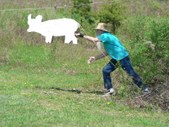 Enlarge photo 12