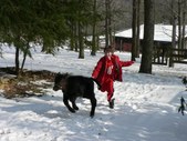 Enlarge photo 15