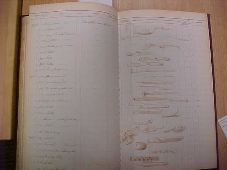 Enlarge photo 1