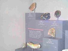 Enlarge photo 110