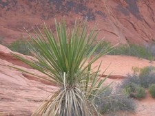 Enlarge photo 18