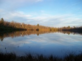 Enlarge photo 36