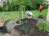 Enlarge photo 139