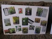 Enlarge photo 66