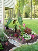 Gardening 2008