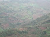Enlarge photo 42