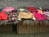 Enlarge photo 56