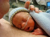Enlarge photo 163