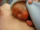 Enlarge photo 165