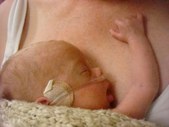 Enlarge photo 237
