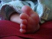 Enlarge photo 369