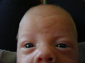 Enlarge photo 371