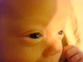 Enlarge photo 419