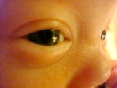 Enlarge photo 420