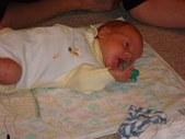 Enlarge photo 424