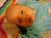 Enlarge photo 449