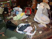 Enlarge photo 511