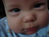Enlarge photo 560