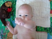 Enlarge photo 624
