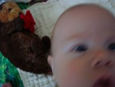 Enlarge photo 628