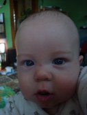 Enlarge photo 656