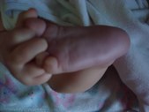 Enlarge photo 681