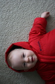 Enlarge photo 849