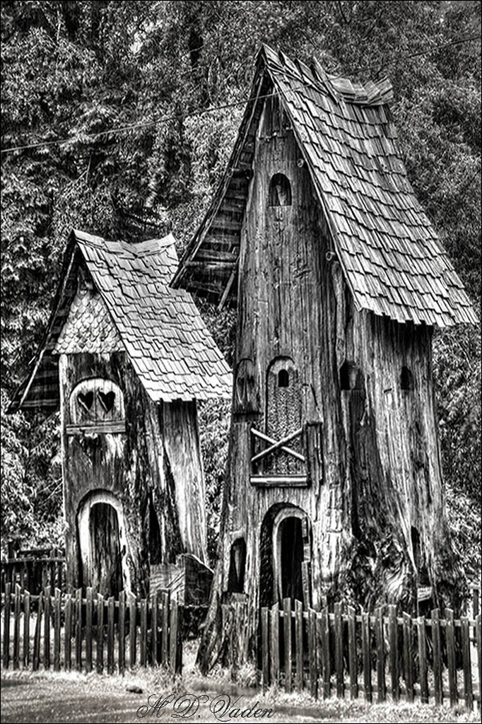 IMAGE: http://photos.imageevent.com/mdvaden/redwoods/huge/Huts_600.jpg