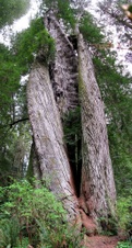Enlarge photo 95