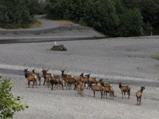 Enlarge photo 57