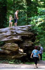 Enlarge photo 98