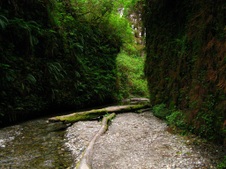 Enlarge photo 60