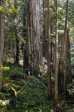 Enlarge photo 168