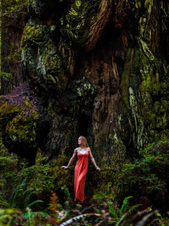 Enlarge photo 109