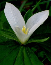 Enlarge photo 105
