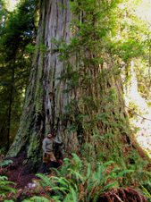 Enlarge photo 106